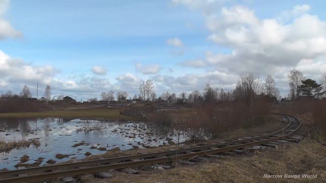 Созимская УЖД / Sozimsky Narrow Gauge Railway / Waldbahn Sosim [2014]