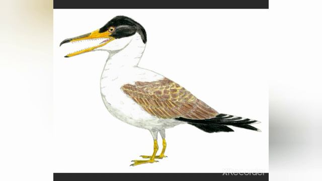 Настоящие морские динозавры! Вся правда о них + новости смотреть онлайн