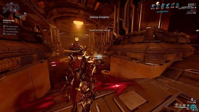 Sporelacer (Primary) Steel Path Level Cap Disruption | Warframe смотреть онлайн