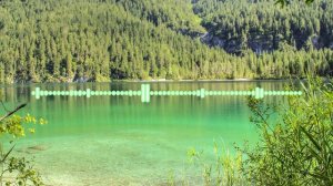 ХАБИБА - НЕ ЗАБУДУ 2024