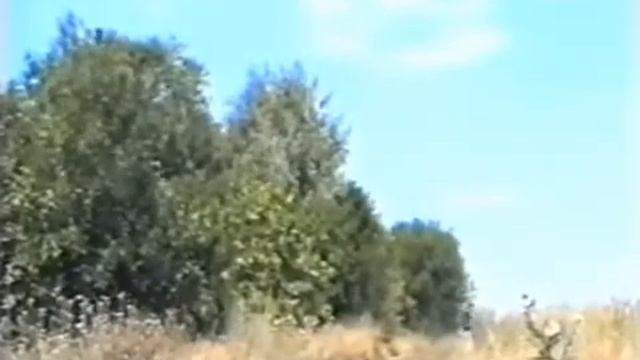 Сектор Газа СКАЗКА 2004 Видеоверсия смотреть онлайн