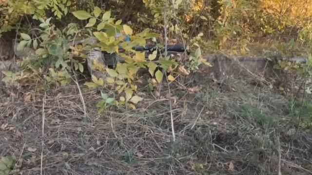 Snipex Alligator e sua promessa BRUTAL de performance! смотреть онлайн