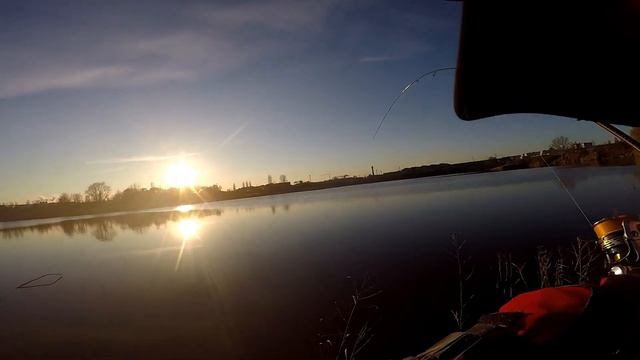 Favorite Skyline SKY-832L