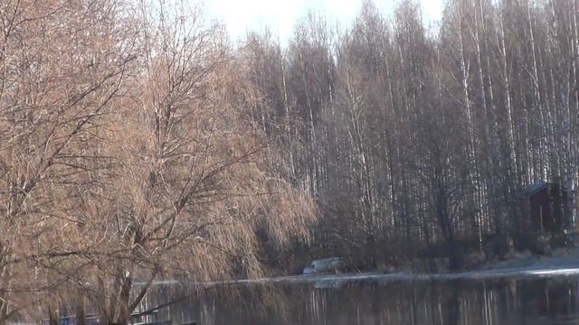 Joutsenet, hanhet, sinisorsat смотреть онлайн