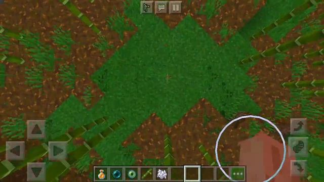 Нашел #бамбуковый_лес в джунглях в #minecraft смотреть онлайн