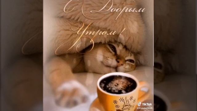 Хорошего денька! Отличного  настроения ! ☘🌼🌼🌼