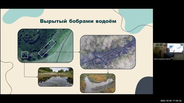 Доклад И.В. Башинского о бобрах и малых водоёмах смотреть онлайн