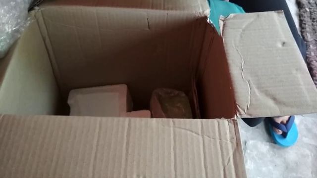 Unboxing Blender Miyako dan Chopper beli di Tokopedia смотреть онлайн