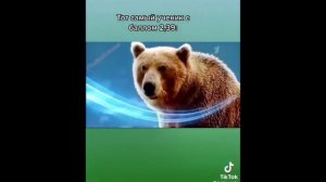 Мем Сила Тайги