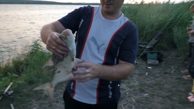 Курчатовское водохранилище!в погоне за лещом!сильный ветер смотреть онлайн