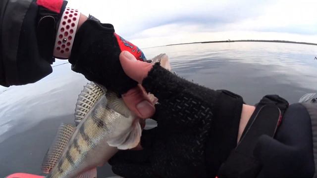 Рыбалка на судака в Саратове. Открытие сезона 2022.Судак весной. Судак на ратлины. Апрель 2022.Волг смотреть онлайн