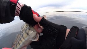 Рыбалка на судака в Саратове. Открытие сезона 2022.Судак весной. Судак на ратлины. Апрель 2022.Волг