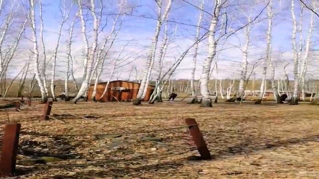 Человек меняется... #природа #волшебство #лес #птицы #сердце #любовь #настоящее #волшебство смотреть онлайн