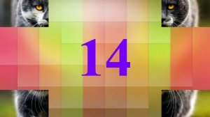 Просто, но со вкусом! Милые и забавные имена (клички)  для котов и кошек Как назвать котенка