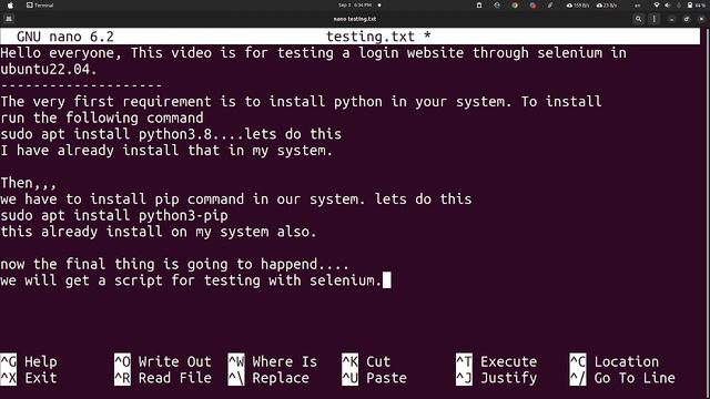 Login website testing with Selenium in Ubuntu 22.04 смотреть онлайн