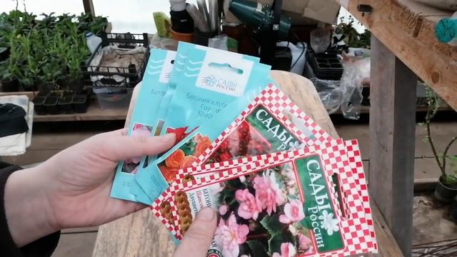 Самый дорогой сердцу Подарок от зрителя канала - СЕМЕНА! смотреть онлайн