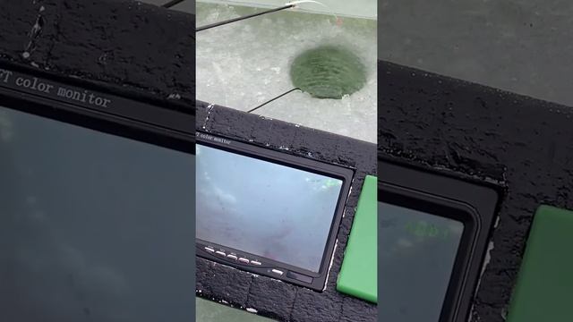 ПОДВОДНАЯ камера с AliExpress. Реальный ТЕСТ. (Зимняя рыбалка) смотреть онлайн