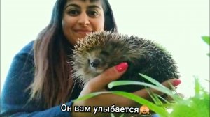 Четвероногие друзья нашли ЁЖИКА  Раскроется или нет?