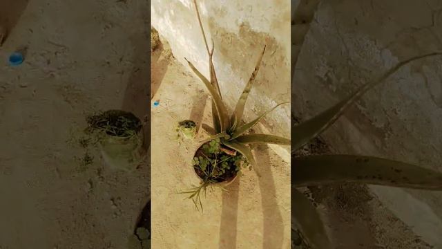 24 February 2023 смотреть онлайн