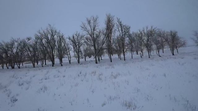 Добыли матерого волка!охота на волков.wolf hunting. смотреть онлайн