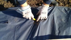 Как посадить клубнику на чёрную плёнку.