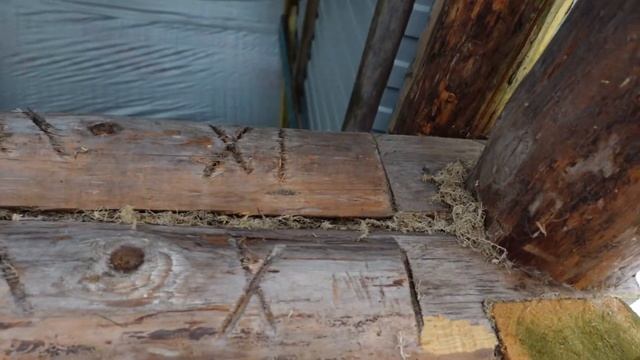 Скользящие опоры и винтовые лифты на деревянном срубе/Год эксплуатации смотреть онлайн