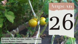 ТОМАТЫ: лунный посевной календарь на АПРЕЛЬ 2024! Когда сажать / сеять семена  помидоров на рассаду