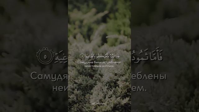 Сура:Аль Хакка(Неминуемое) Аят:1-7 Чтец:Абду-Рашид Али Суфи #quran #religion смотреть онлайн