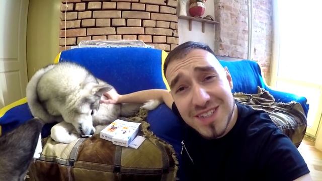 Энцефалитный Клещ больше не укусит! Защита от клещей! ХАСКА СПАСЁН смотреть онлайн