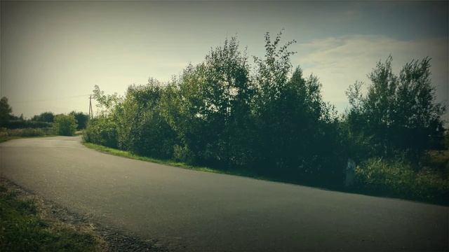 Racer Panther RC300 Custom Ride