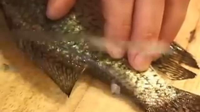 Pt1- On the Water with Eric: The Canadian Filleting Method смотреть онлайн