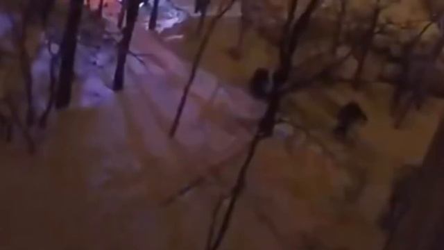 Пожар в корпусе 200Г в Зеленограде смотреть онлайн