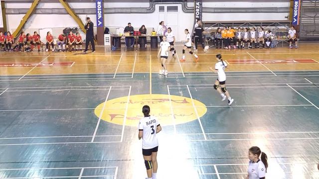 HCSB - Rapid* смотреть онлайн