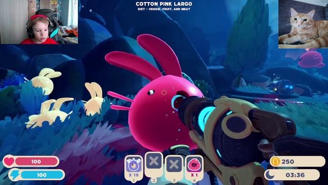 PLAY!!! Slime Rancher 2 смотреть онлайн