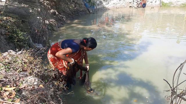 Wow! Lot Of Fish Catching By Village Girl||Taraditional Cast Net Fishing||Akhi fishing BD(part-155) смотреть онлайн
