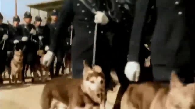 Бенито Муссолини: страшный злой дуче - правда и пропаганда - кто придумал фашизм смотреть онлайн