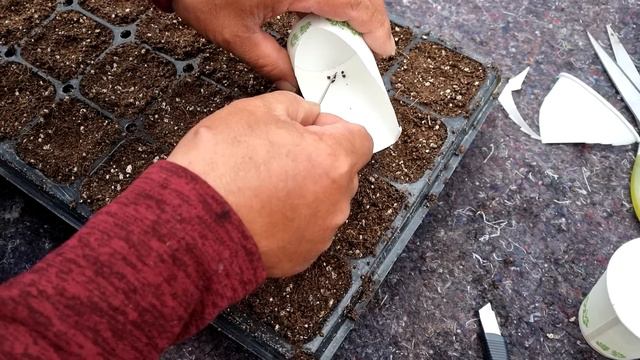 봄이 오는 소리~ 겨울을 이겨낸 봄나물! 산골의 봄 준비🌱🌿 смотреть онлайн