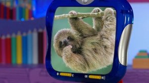 ✨Спокойной ночи, малыши✨ Кто живет в джунглях?