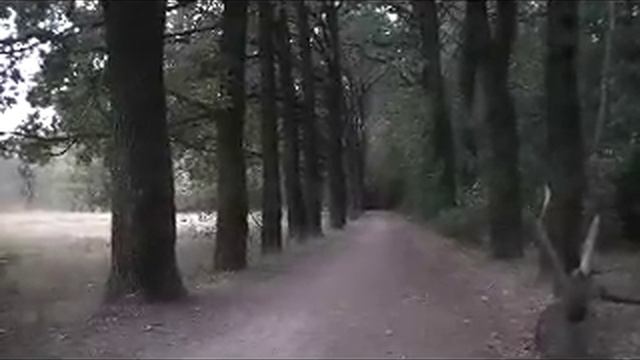 Голова павлина 3 смотреть онлайн