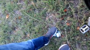 Сколько можно заработать на сборе алюминиевых банок ?