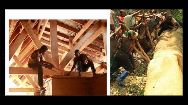 Built Environment Professionals Towards The Bio Based Design Implementation.