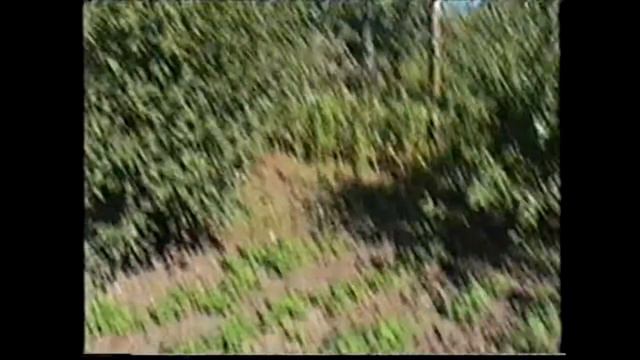 Дача Дяди Яши смотреть онлайн