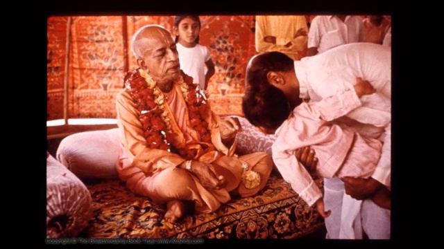 В половой жизни нет необходимости.