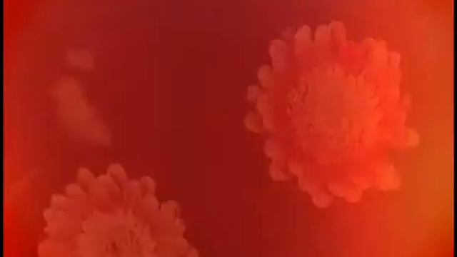 Вода "Малкинская" смотреть онлайн