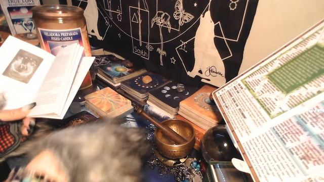 "YOU ARE PROTECTED" WITCHE'S WISDOM ORACLE GENERAL READING. #witches #messages смотреть онлайн