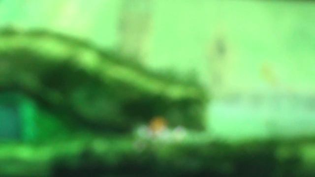 xbox 360 freeboot фрибут смотреть онлайн