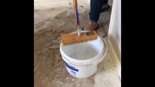 Removing Pet Urine From Concrete Floors