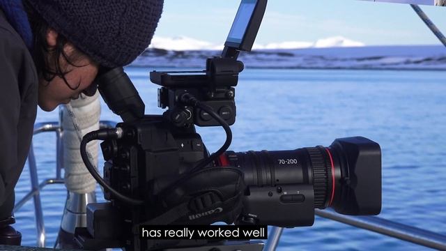 Canon EOS C300 Mark ll смотреть онлайн