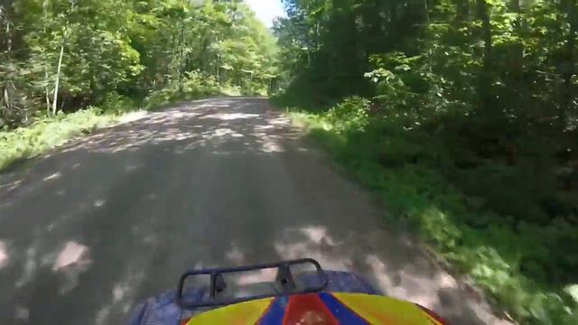 Yamaha grizzly 125 quarry to s turns Plevna смотреть онлайн