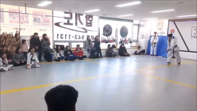 Hapkido Acrobatics And Kicks. KOREA HAPKIDO FEDERATION